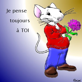 je pense toujours a toi